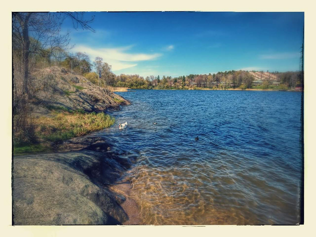 A Message From The Founder: The Power of Solitude and Your Sacred Healing Timeline