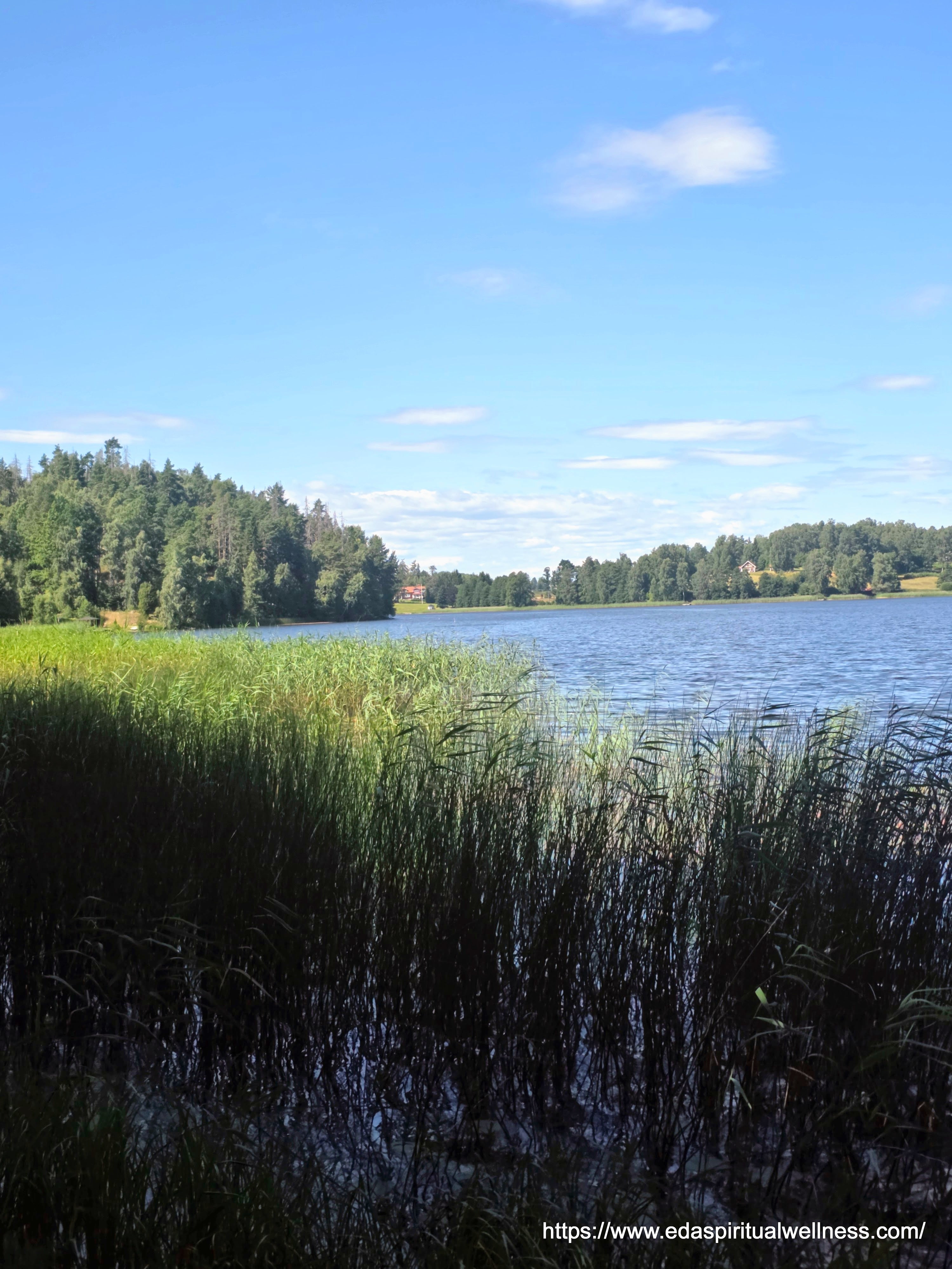 Serenity Lake Summer Sweden — tranquil Swedish lake with reeds, pine forest and red cottage in summer light