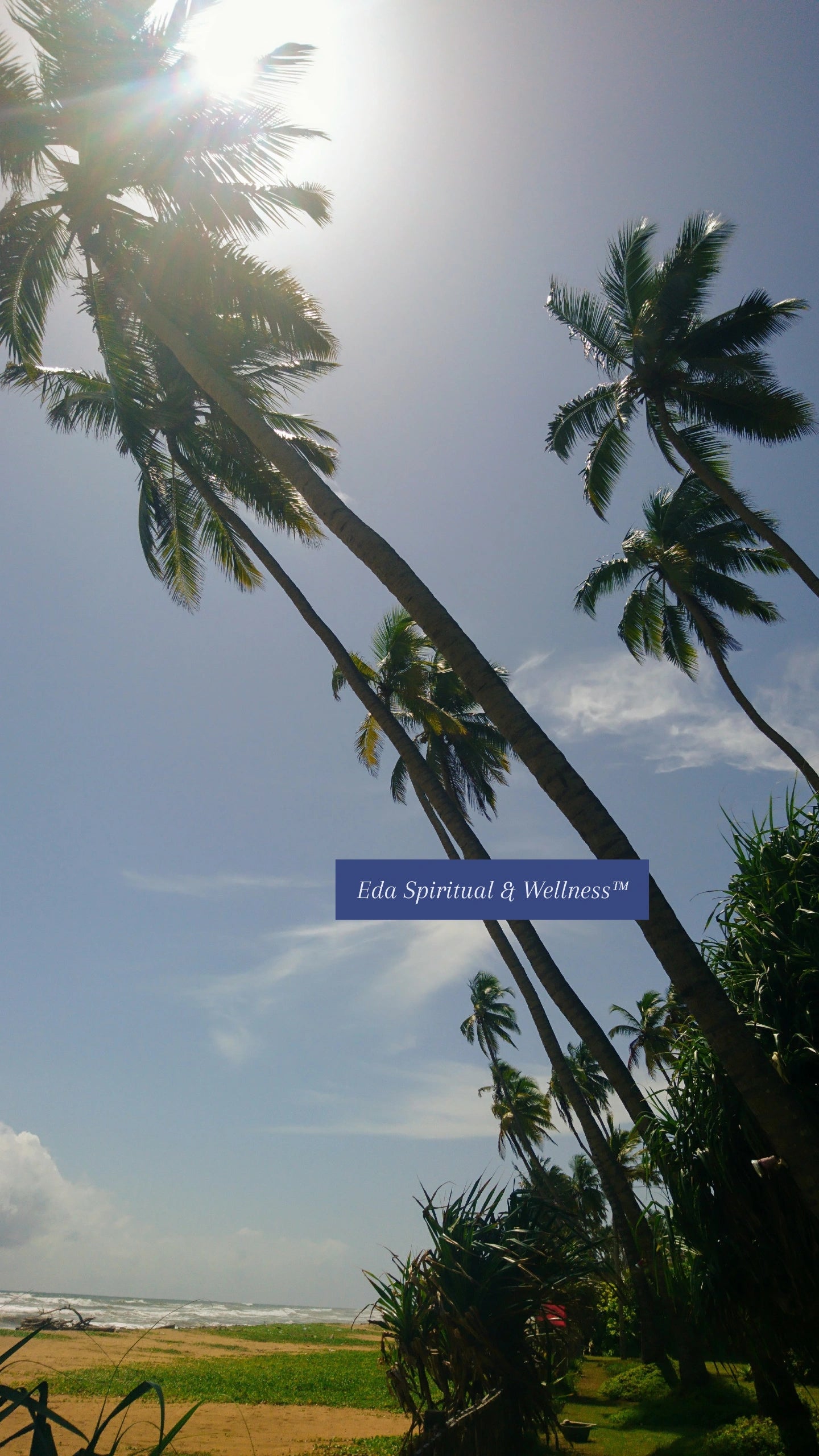 Beautiful Sri Lanka: Wadduwa Beach Palms — Digital Photo Download